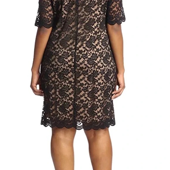Connected apparel | elbow sleeve lace sheath Open Back Dress Size 14 - Picture 4 of 15